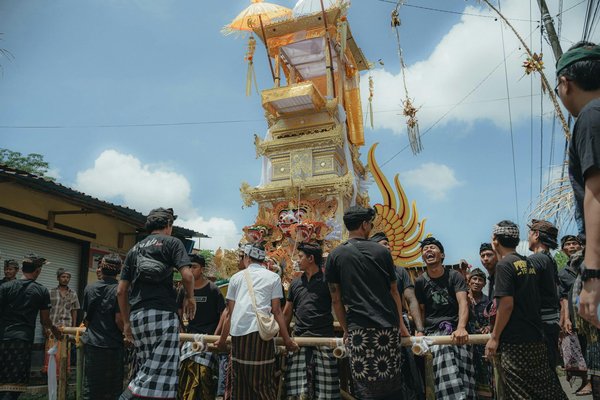 Quelles croisières permettent d'assister à des festivals traditionnels en Indonésie?