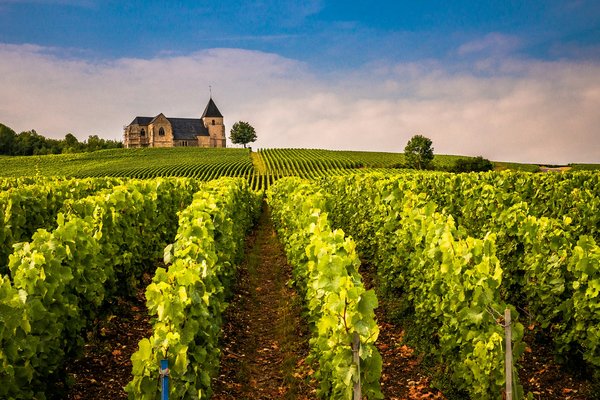 Quels sont les meilleurs endroits pour une location de vacances avec des cours de cuisine et des visites de vignobles en France?