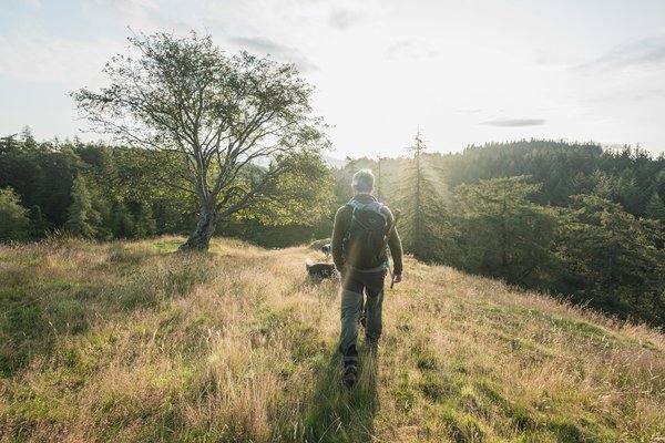 Quels sont les meilleurs sentiers pour une randonnée en forêt boréale au Québec, Canada ?